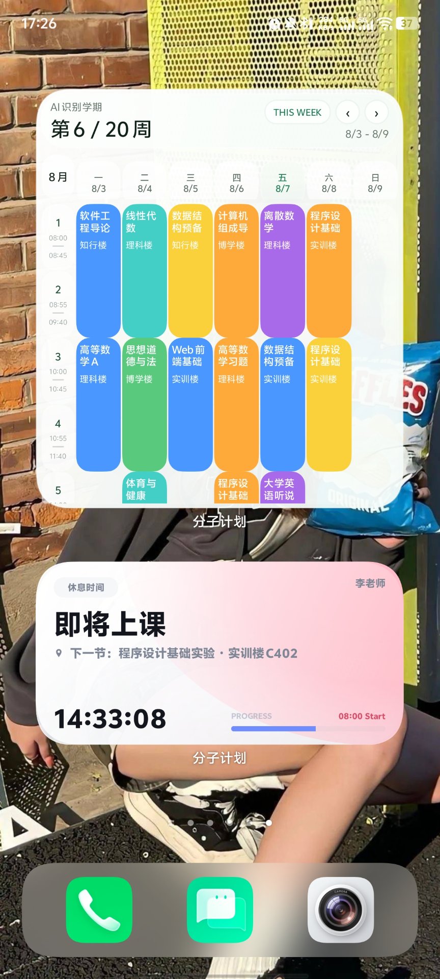 MolePlan 桌面小组件